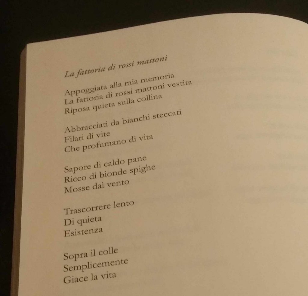 Poesia La fattoria di rossi mattoni tratta da Squarci di Vipal Antonio Gianfranco Gualdi