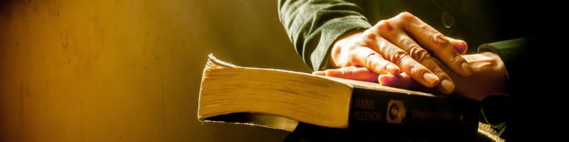 Mestieri poesia edita libro Squarci Vipal Antonio Gianfranco Gualdi